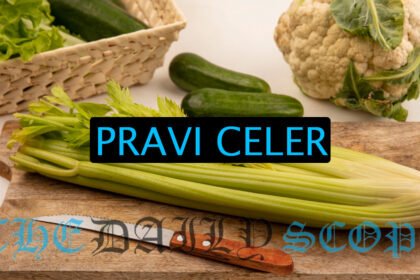Pravi Celer