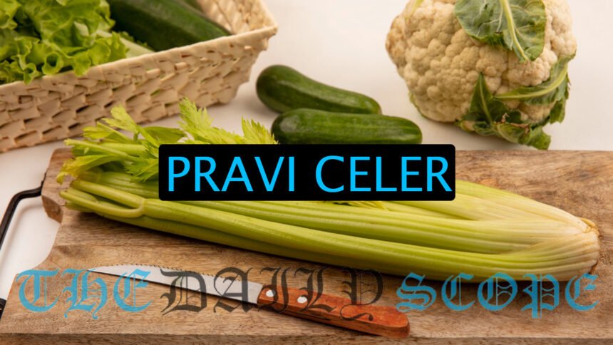 Pravi Celer