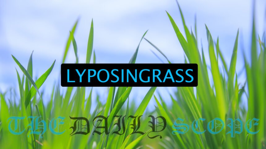 Lyposingrass